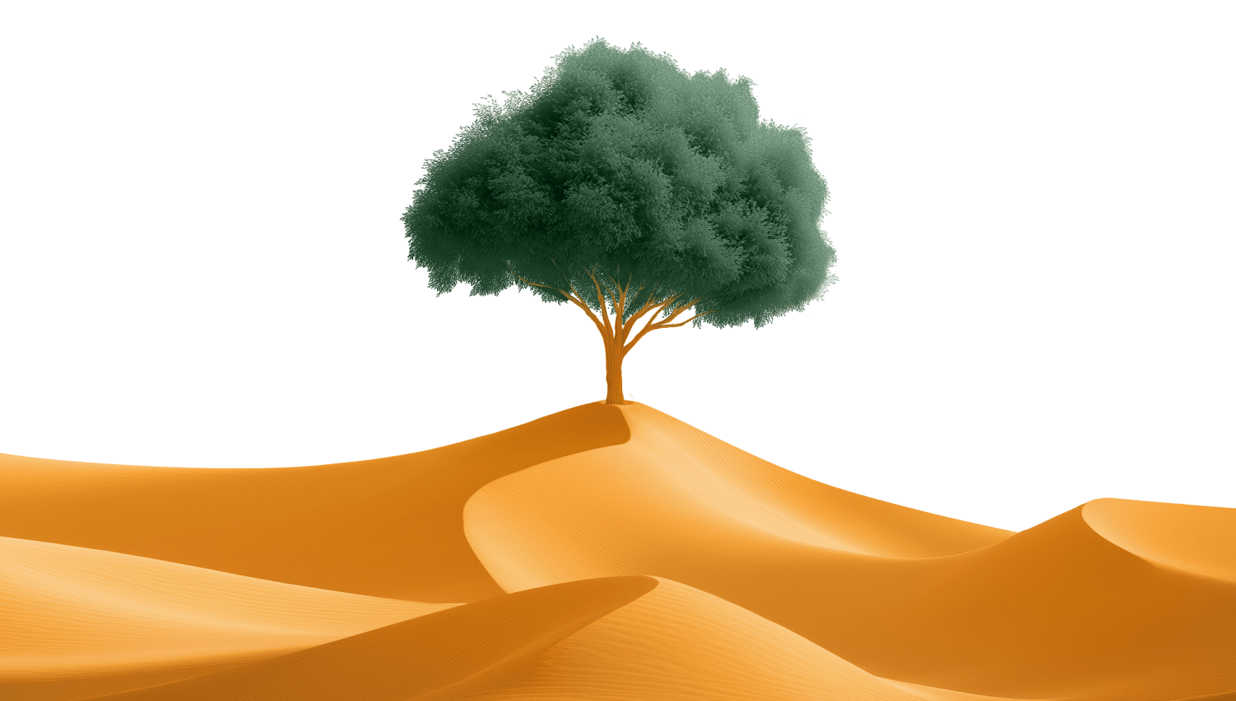 Front dunes with tree